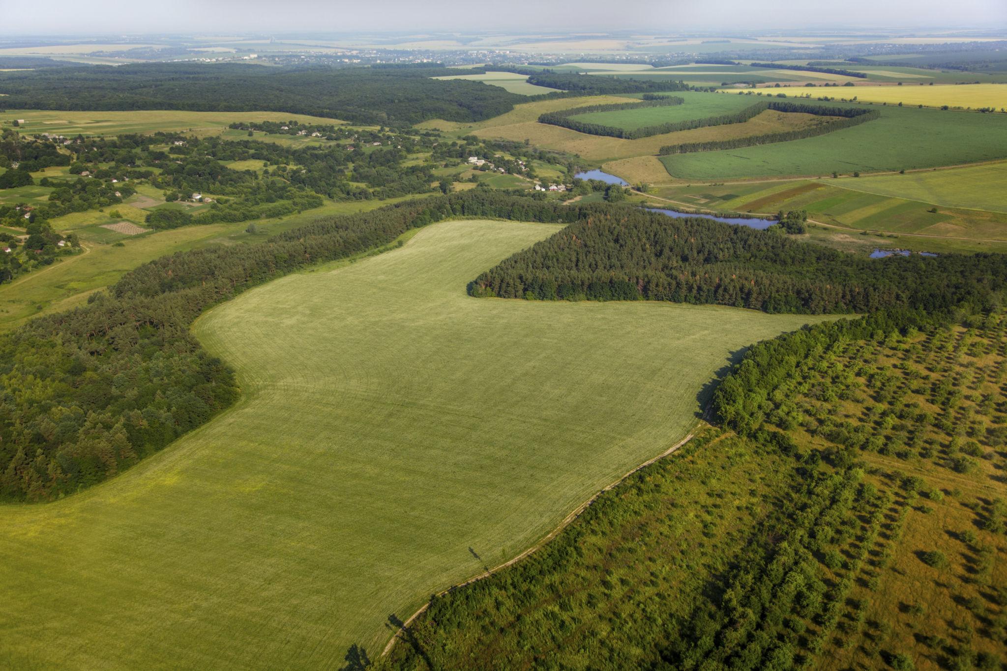 Aerial imagery of surveyed terrain